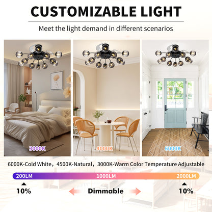 Black Smoke Glass 12-Light Retractable Ceiling Fan with Remote