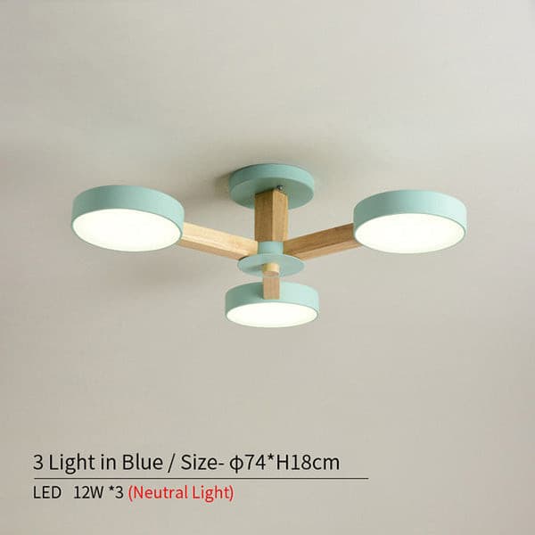 circular ceiling flower chandelier.jpg
