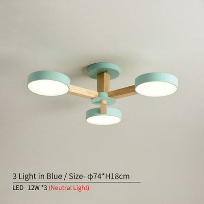 circular ceiling flower chandelier.jpg
