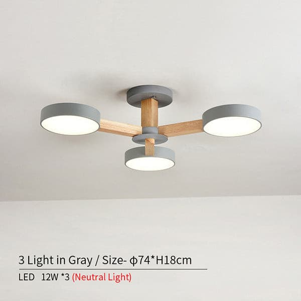 round chandelier contemporary design.jpg
