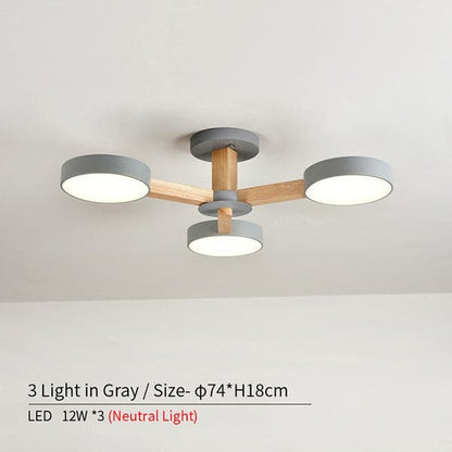 round chandelier contemporary design.jpg