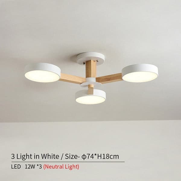 circular pendant chandelier for sale.jpg