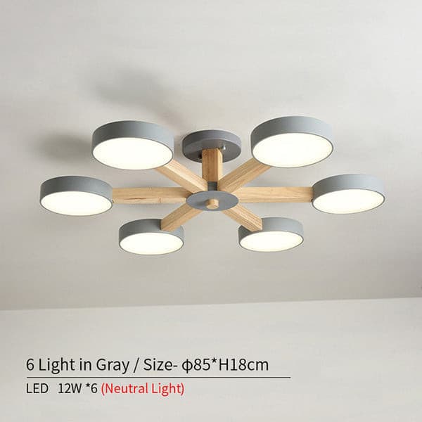 circular pendant chandelier.jpg