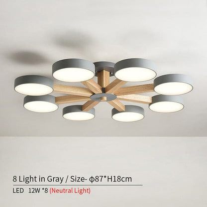 circular pendant chandelier.jpg
