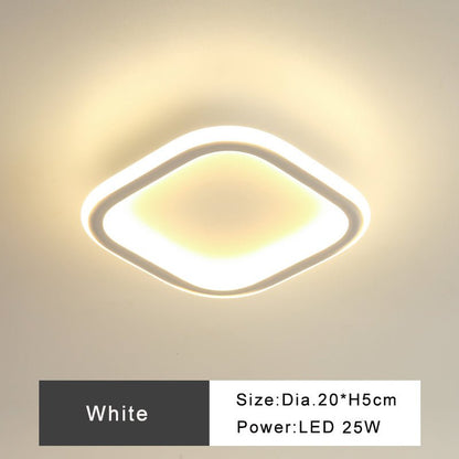 Modern Minimalist Style Interior LED Ceiling Lamp For Corridor Or Entrance