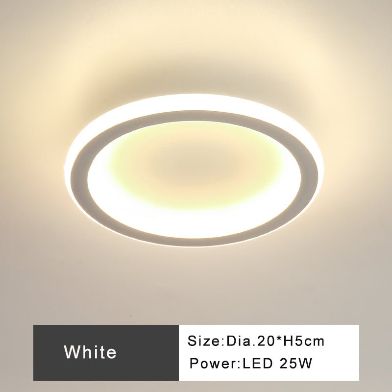 Modern Minimalist Style Interior LED Ceiling Lamp For Corridor Or Entrance