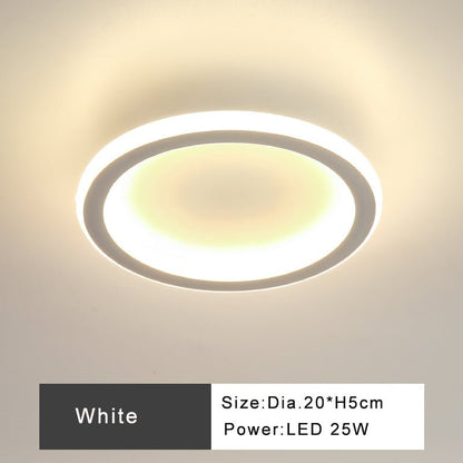 Modern Minimalist Style Interior LED Ceiling Lamp For Corridor Or Entrance