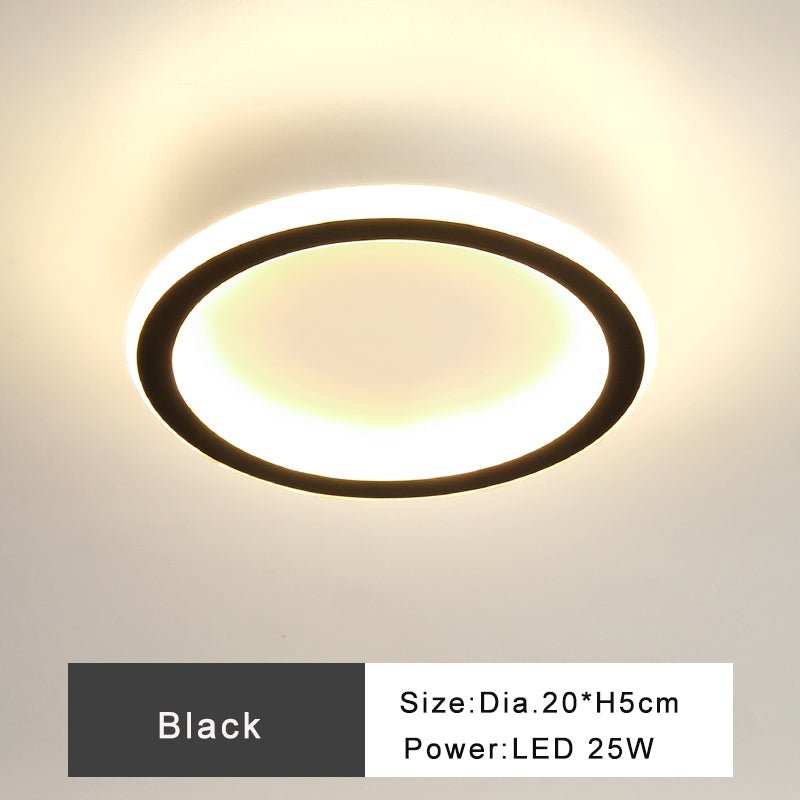 Modern Minimalist Style Interior LED Ceiling Lamp For Corridor Or Entrance