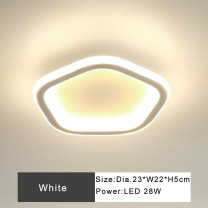Modern Minimalist Style Interior LED Ceiling Lamp For Corridor Or Entrance