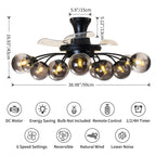 Black Smoke Glass 12-Light Retractable Ceiling Fan with Remote - BeyPan