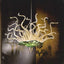 Chihly Style Style Glass Chandelier - Water Lettuce Botanical Grace Murano - BeyPan