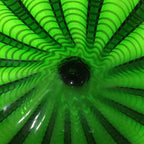 Hand Blown Murano Glass Wall Plates Green Color D12Inches - BeyPan
