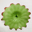 Hand Blown Murano Glass Wall Plates Green With Red Rim D12Inches - BeyPan