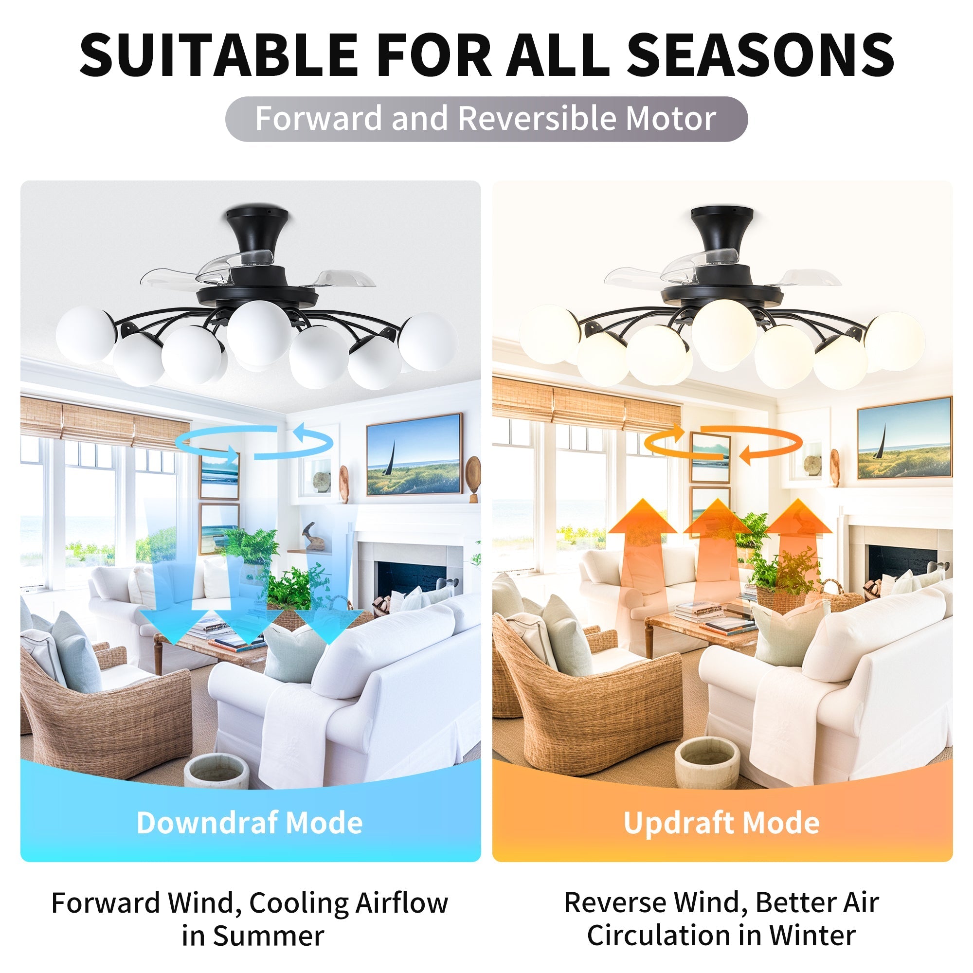 Modern 12-Light Black Globe Chandelier Fan with Remote - BeyPan