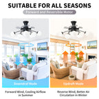 Modern Black Chandelier Fan with 8 Globe Lights & Remote - BeyPan