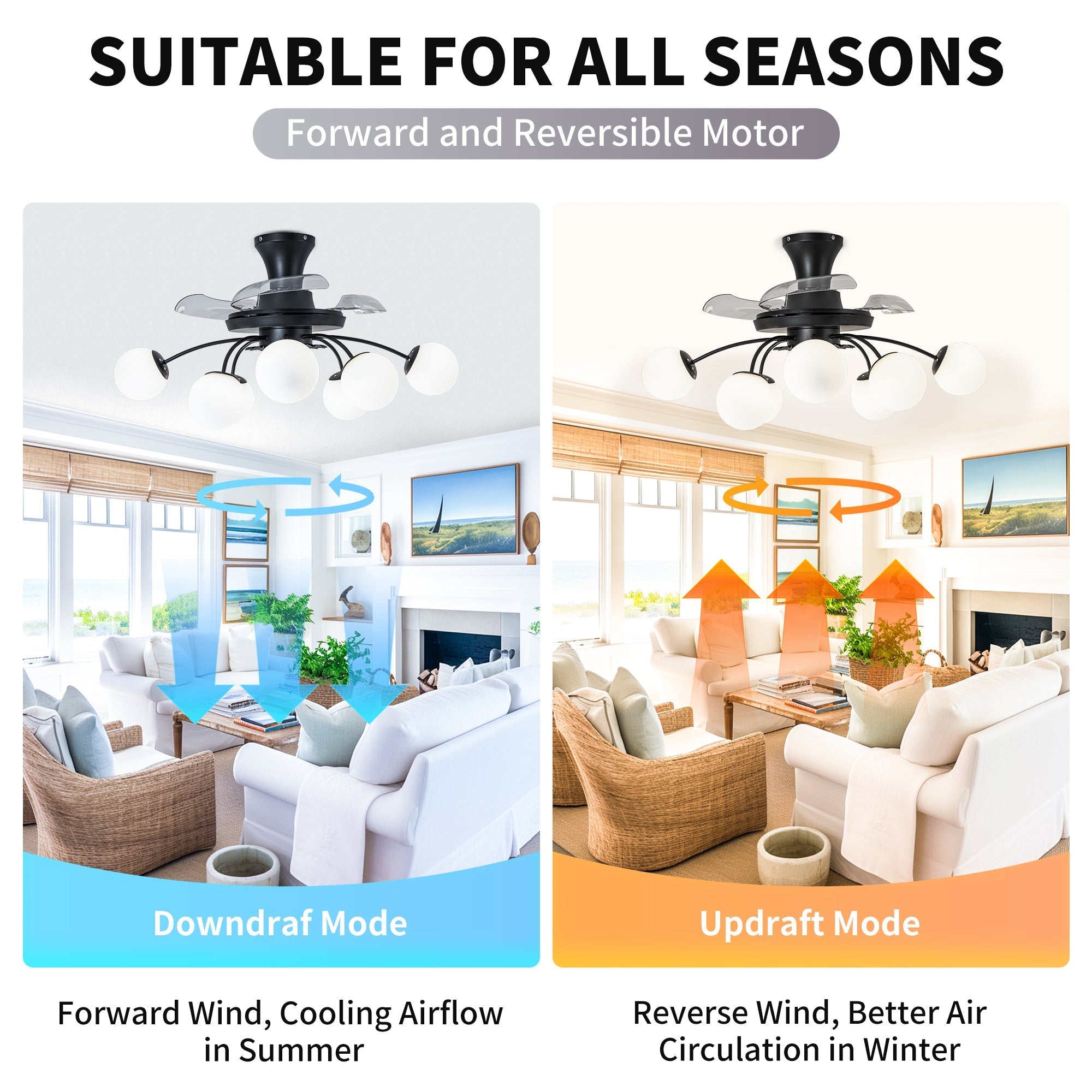 Modern Black Chandelier Fan with 8 Globe Lights & Remote - BeyPan