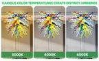 Radiant Rainbow Hand-Blown Glass Sculpture Chihly Style Chandelier Colorful Tentacle Glass Art Pendant Light for Modern Interiors - BeyPan