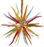 Supernova Artisan Sputnik Blown Glass Chandelier - Vibrant Multi-Color - BeyPan